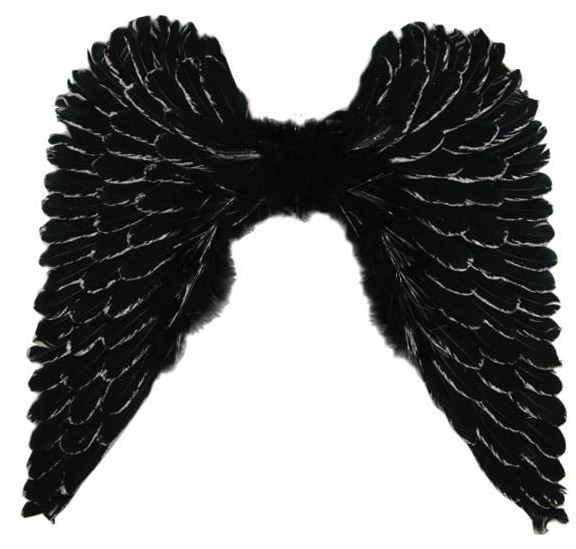 verkoop - attributen - Vleugels - Vleugels zwart met zilveren glinsters